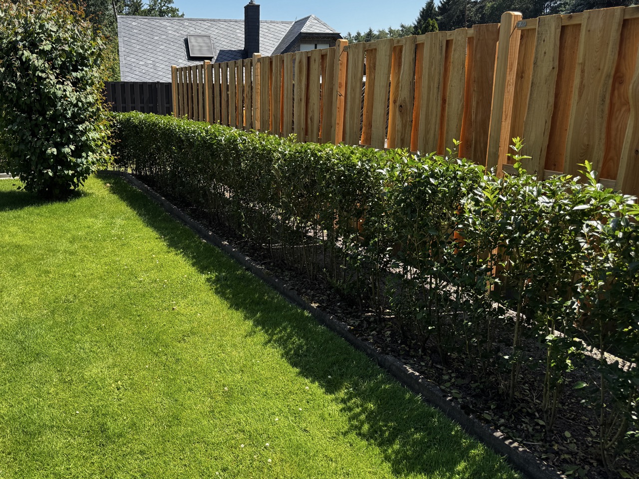 Neue Hecke, Beeteinfassung & Holzzaun